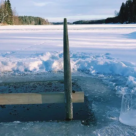 Prázdninový dům Metsaepirtti By Interhome *