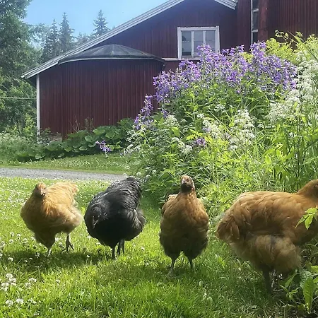 펜션 Metsaepirtti By Interhome