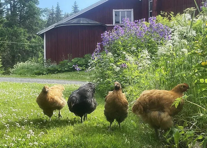 Дом отдыха Metsaepirtti By Interhome